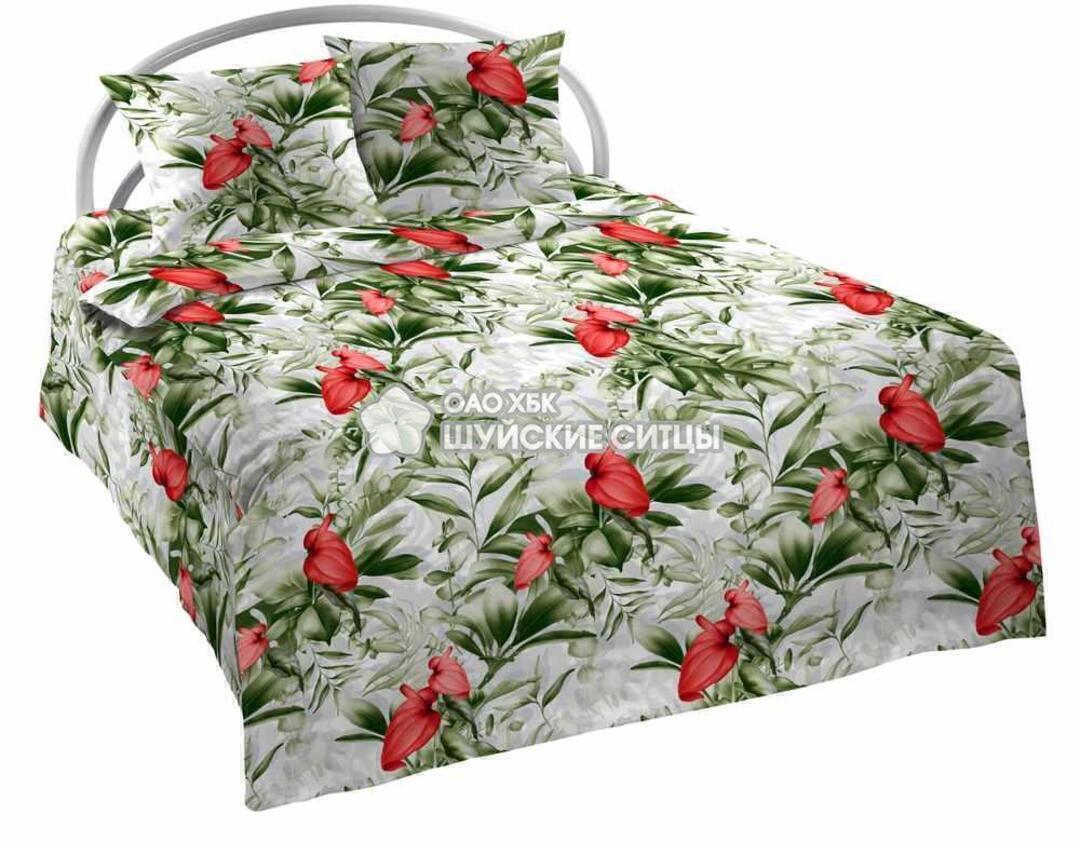 Пододеяльник евро (210*226) бязь Шуя Реноме <209652> (арт.61/121)