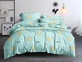 КПБ 2сп полисатин с европростыней Pandora <4021>